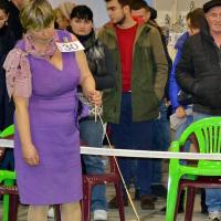 Открытый класс сука HABENERO DE JAVU TSARITSA - отлично-3