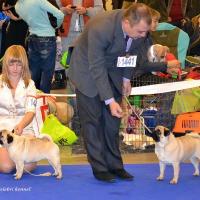 Класс чемпионов суки