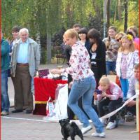 Бэст 9 группы - Зафира вошла в 5 лучших