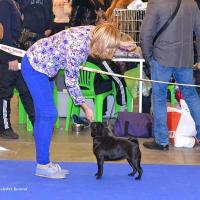 Класс чемпионов сука CAMUSE DE LUXE BIATE - RCAC, RCACIB