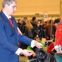 Класс чемпионов сука PAOLA ASTI MONDORO - отлично-3