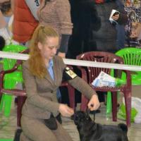 Открытый класс лучший кобель COURAGEOUS BLACK AGATE FOR VENTI VOCANTES IGROLEND - САС