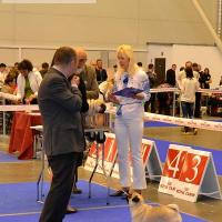 ВОВ выставки - класс чемпионов сука MONTES AURI OLIVIA LA VICTORIA