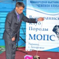 Класс победителей сука AGRIPINA SWEET PUG UA - КЧК