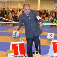 ВОВ выставки - класс чемпионов сука MONTES AURI OLIVIA LA VICTORIA