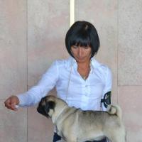 Юниор сука CANIS CELEBRI MARIA MIRABELA - очень хорошо