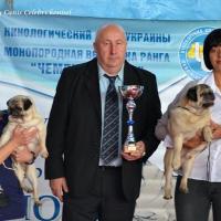 Лучшие Ветераны выставки