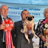 ВОВ окраса класс чемпионов сука MONTES AURI OLIVIA LA VICTORIA - Чемпион Клуба