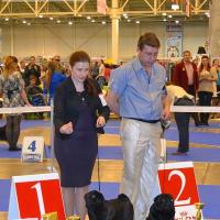 интермедиа кобели VASABI BEST GOLDEN PACK (оч.хор.-1) и ZHOKER TRIUMF RODOM IZ MOPSLANDII (хор.-2)
