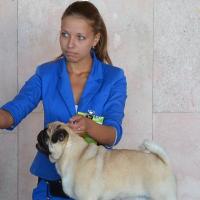 Открытый класс IL’YA MUROMETS RODOM IZ MOPSLANDII - отлично-1, СС