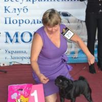 Интермедия лучший кобель HABENERO DE JAVU MY ALL - КЧК