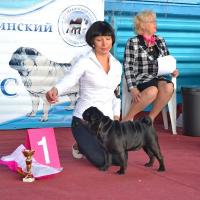 Открытый класс лучший кобель LYUTIK LAMIART S KIEVSKOY RUSI - КЧК