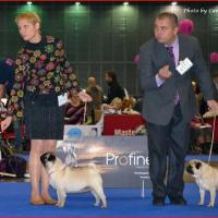 Класс чемпионов суки