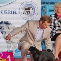 Класс чемпионов лучшая сука OL'DI DO AURA - КЧК