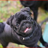 6 месяцев