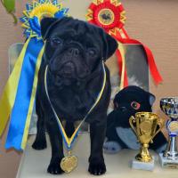 10 месяцев