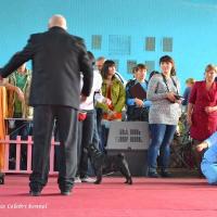 Сравнение на Лучшего Кобеля Окраса