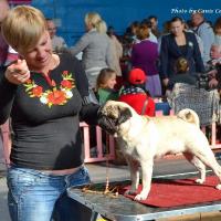 Интермедия сука INTERESNAYA BLONDINKA RODOM IZ MOPSLANDII - 4