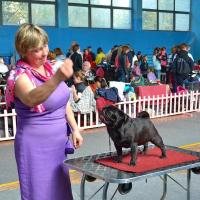 Открытый класс сука HABENERO DE JAVU MISS DELICACY DE MANNERS
