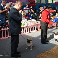 Класс чемпионов суки