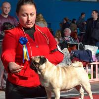 Класс чемпионов сука ZELIA ASTYI MONDORO - 2