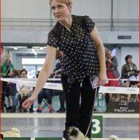 Класс чемпионов лучшая сука TAGRITANIA KASSIOPEA SAPFO - CAC, RCACIB