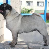 8 месяцев