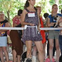 ЛПП, Лучший Юниор, кобель CANIS CELEBRI MUNCHHAUSEN