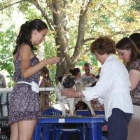 ЛПП, Лучший Юниор, кобель CANIS CELEBRI MUNCHHAUSEN