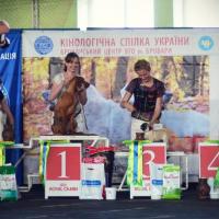 3,5 месяца
