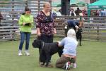 Antaliya Dog Extreme
