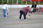 сравнение на лучшего юниора