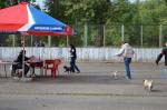 Сравнение на лучшего кобеля