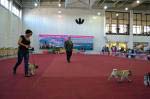кобели открытый Chicco Altair An Gor, Maybah Krutoy