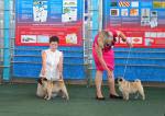 выставка собак Курск-2012
