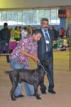 ВОВ Orso Ottimo Arnas Fiorista