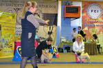 кобель чемпион Anadyr Blues Peter Pan, Stefan Sharm La Bote Iz Doma Sobolevyh