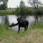 Палки слишком большими не бывают