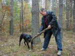 Палка слишком большой не бывает